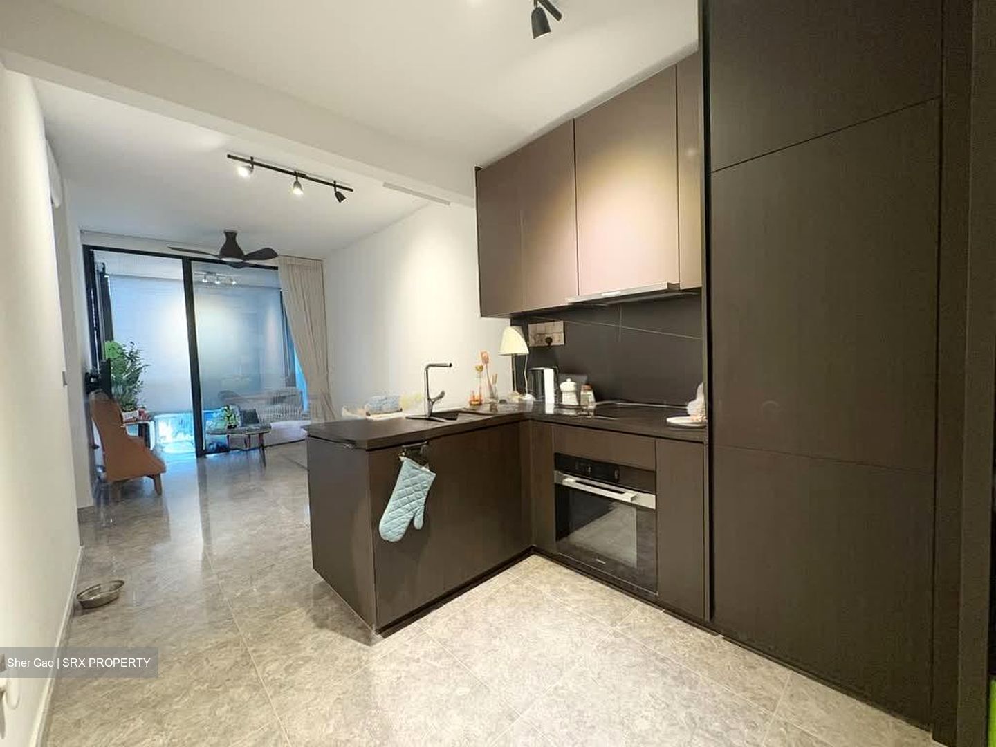 Hyll On Holland (D10), Condominium #545125121